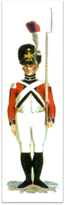 Descrizione: http://www.3rgtsuisse.be/Uniformologie/Grenadier.jpg